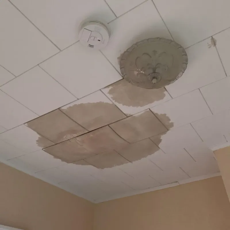 Ceiling Water Damage Repair in Durham, NY